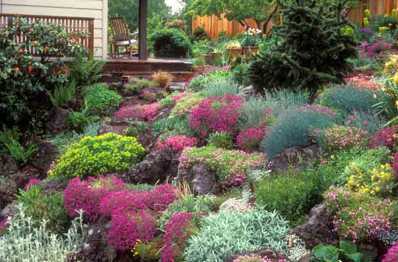 alpine landscaping